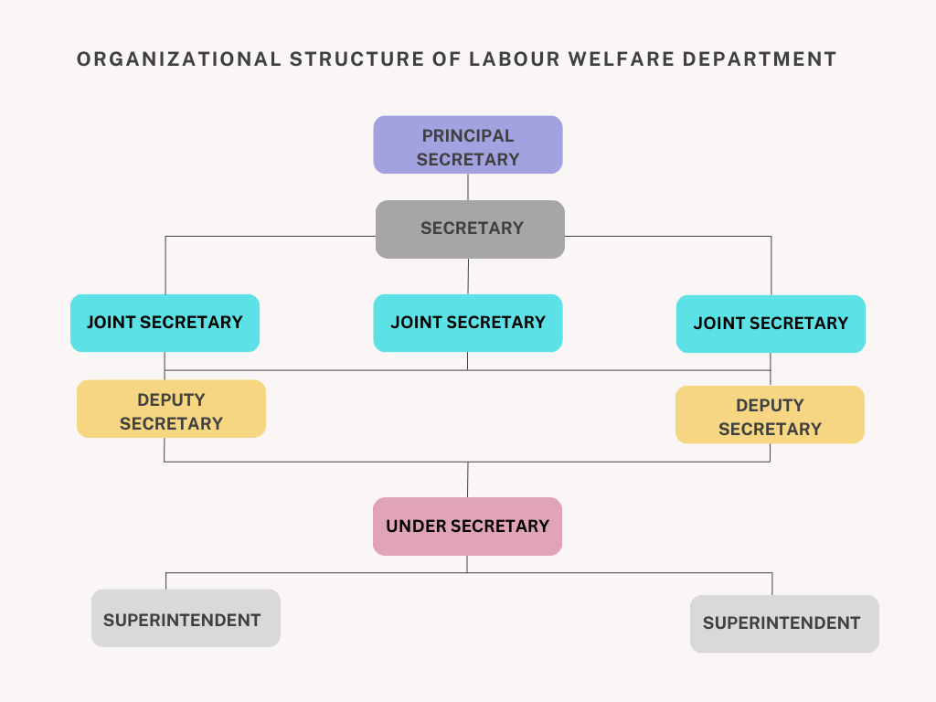 Organizational Chart